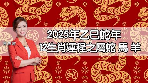 2025 蛇|麥玲玲2025蛇年運程｜12生肖財運+愛情總運勢全面睇+開運大